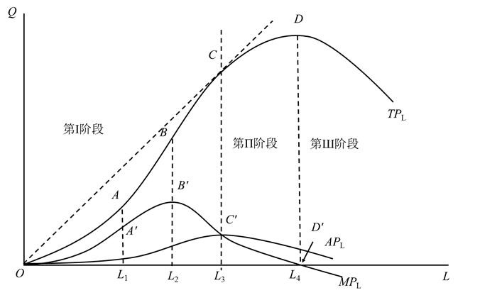 810经济学备考知识点：画图说明边际产量、总产量、平均产量的关系